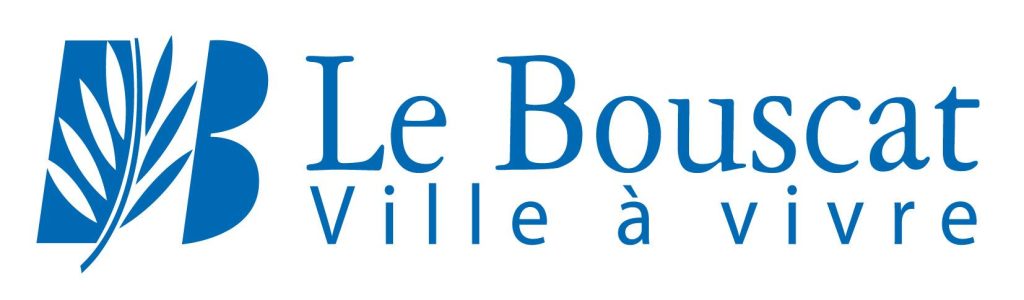 Entretien chaudière gaz Le Bouscat